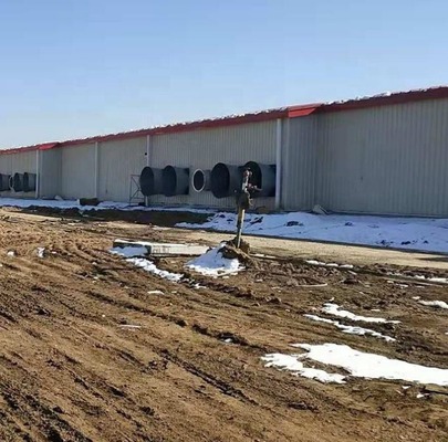 Enerji verimli çelik yapısı Domuz yetiştirme kulübe / Domuzcılık / Domuz evi