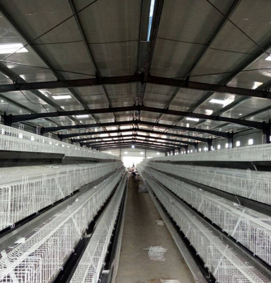 Prefabrik Çelik Yapı Tavuk Çiftliği Tavuk Kontrolü Şubesi Tavuk için inşaat binası